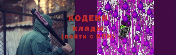 СК Куйбышев
